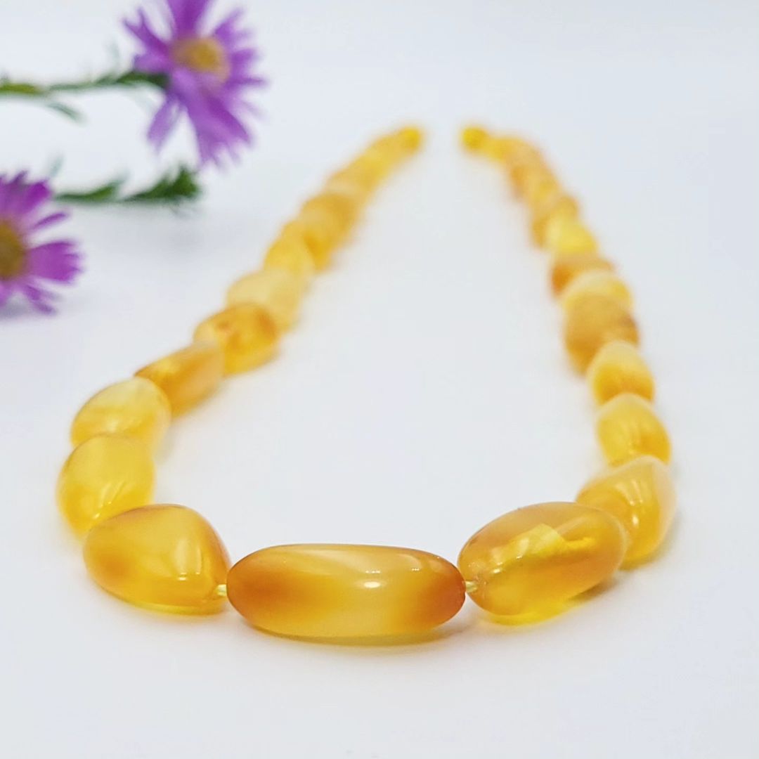 A shot of a bright honey-yellow amber necklace laid out in a U-shape on a white background. The necklace consists of polished, irregular, tumbled beads that are graduated, with a large central bead. Two purple aster flowers are visible in the top left corner.