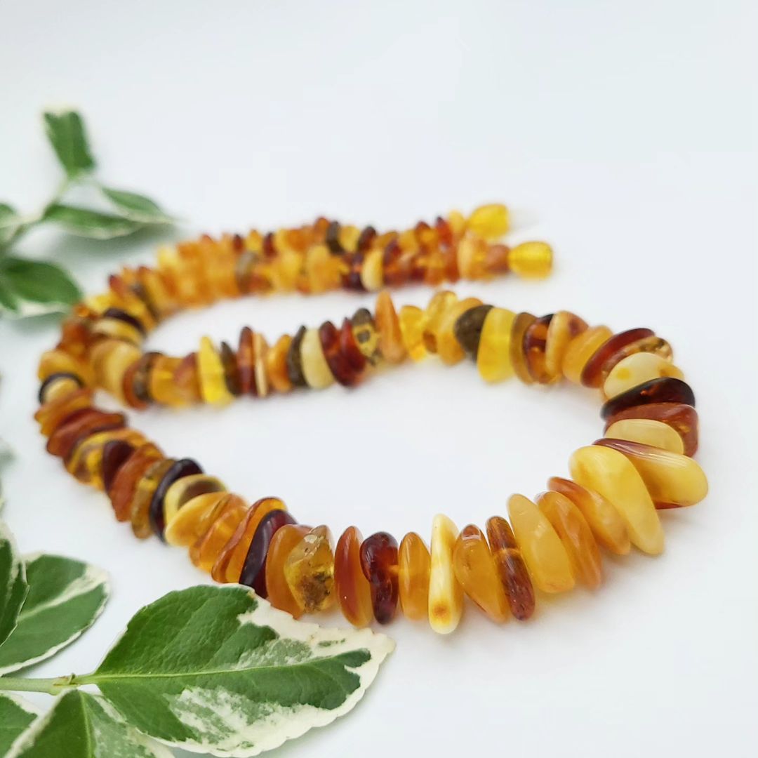 Amber Necklace Chips Multicoloured